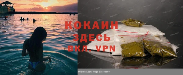 шишки Сафоново