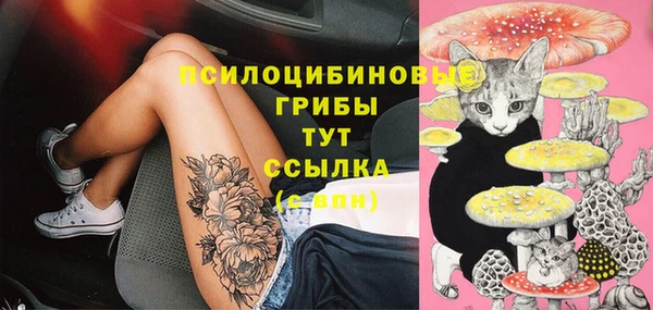 шишки Сафоново