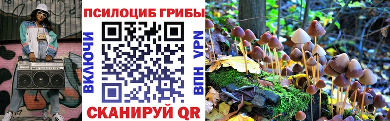 Псилоцибиновые грибы MAGIC MUSHROOMS  Купить  Пермь 